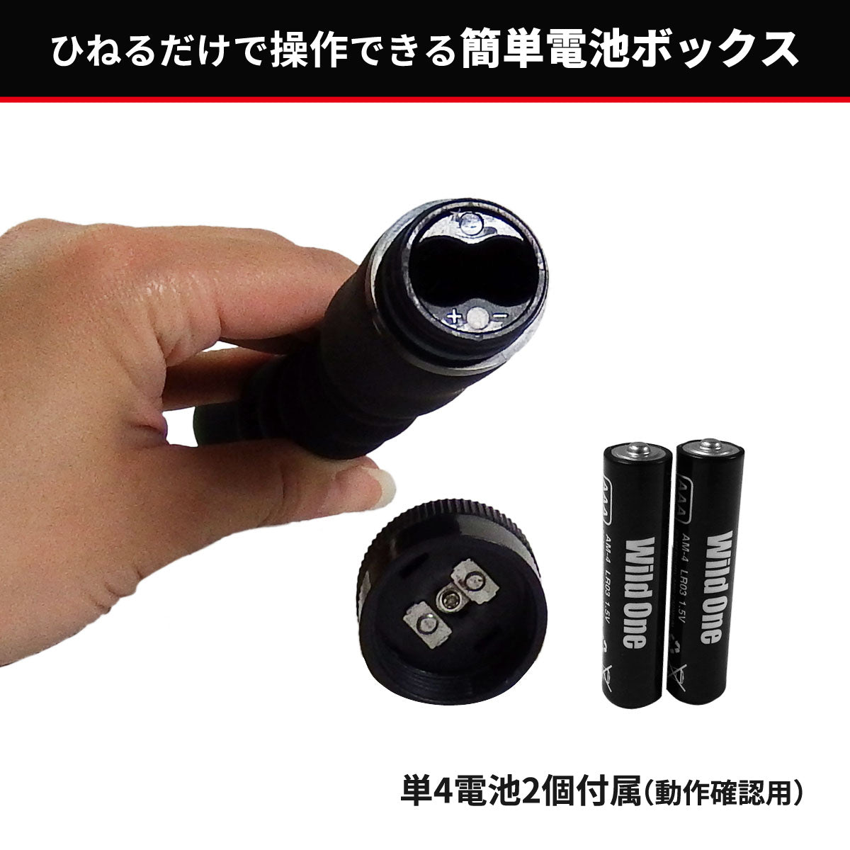 Analist 008 後庭震動器