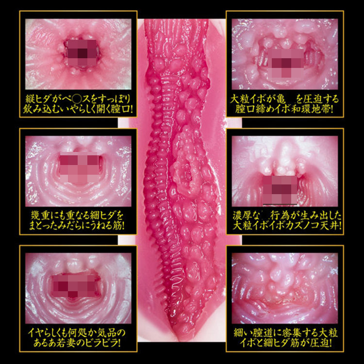 NPG 2代目 完熟名器物語 募集若妻 葵司 (葵つかさ)