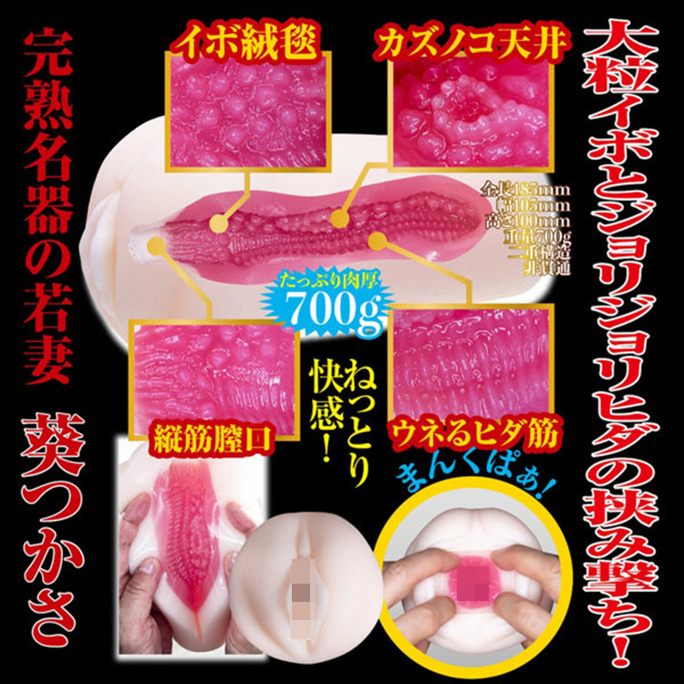 NPG 2代目 完熟名器物語 募集若妻 葵司 (葵つかさ)