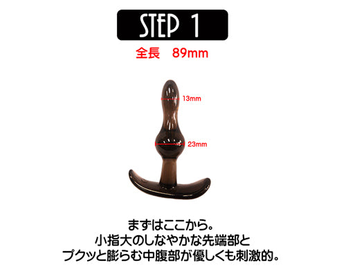 ANAL ANCHOR 4合1 入門級後庭塞