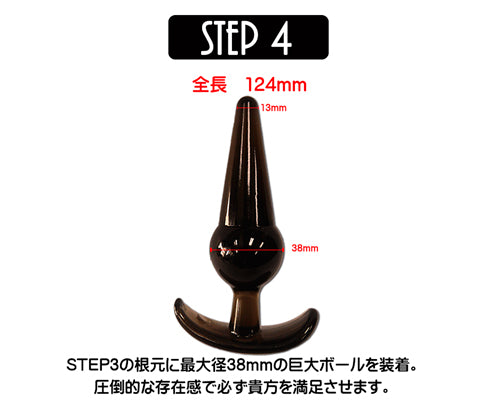 ANAL ANCHOR 4合1 入門級後庭塞