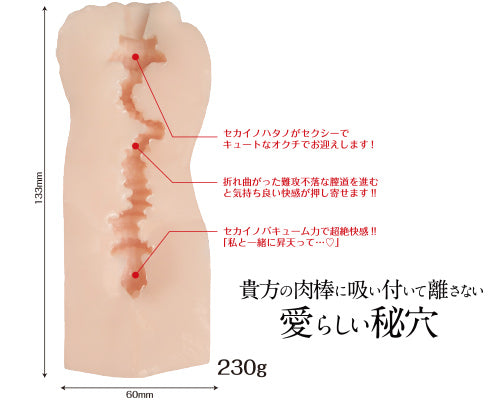 FOXY HOLE 波多野結衣