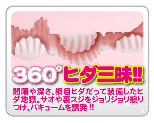どっち?【ヒダver】