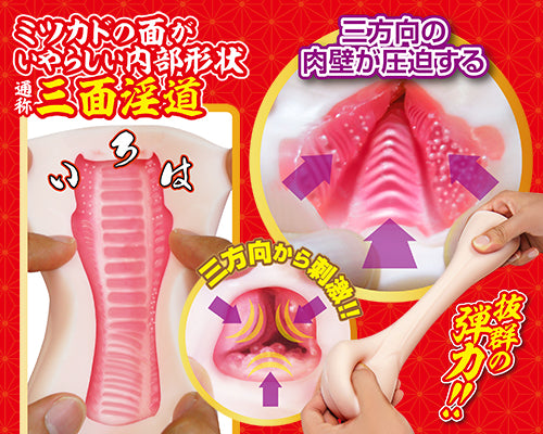 ちつのほそみち